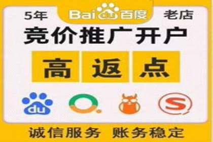 竞价SEM助力电商平台快速提升流量